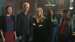 Spike, Buffy & SITs