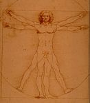 Homem
                        Perfeito de Da Vinci